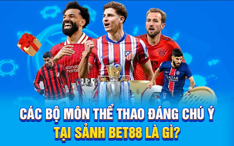 Các bộ môn thể thao đáng chú ý tại sảnh bet88 là gì