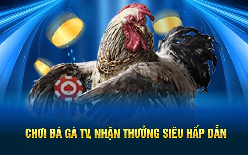 Chơi đá gà tv nhận thưởng siêu hấp dẫn